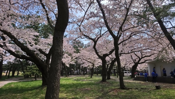 c0077835_01133955.jpg