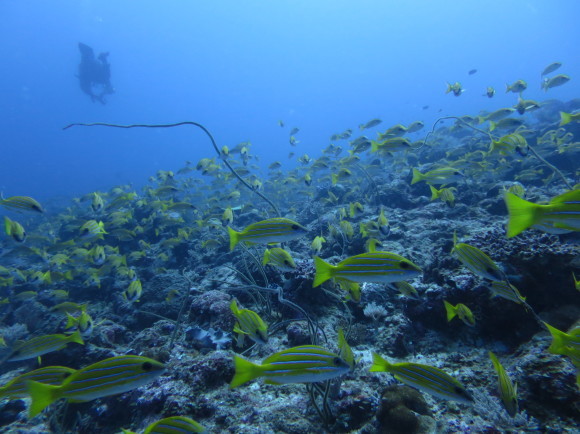 d0260738_12042144.jpg