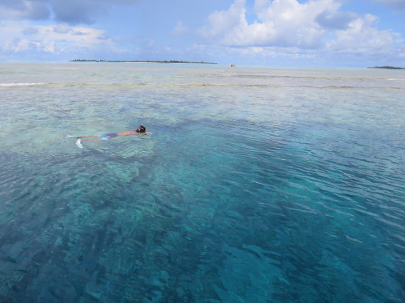 d0260738_12070384.jpg