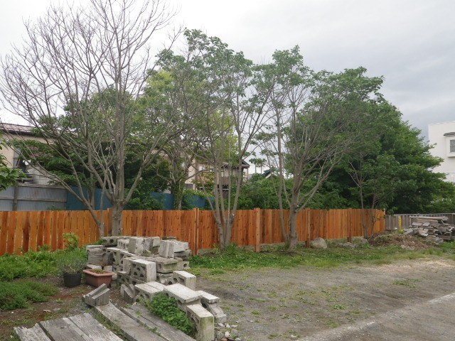 ミルの塀!_b0207642_13354596.jpg