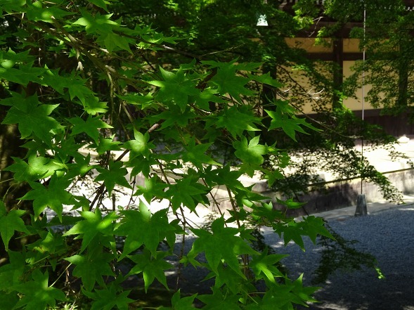 b0299042_16274231.jpg