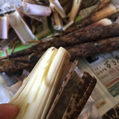 b0346442_19474725.jpeg