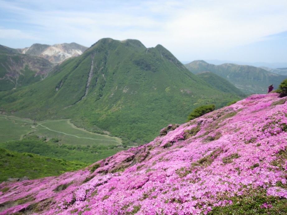 平治岳のミヤマキリシマ_e0164643_20003396.jpg