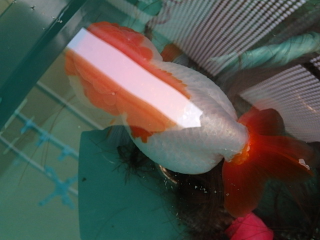 f0334143_13101979.jpg