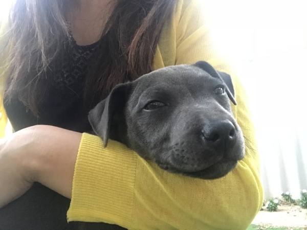 f0304452_13240779.jpeg