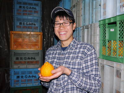 熊本県産！デコポン(肥後ポン)数量限定販売中！今期の出荷予定数も残りわずか！ご注文はお急ぎ下さい！_a0254656_17591632.jpg