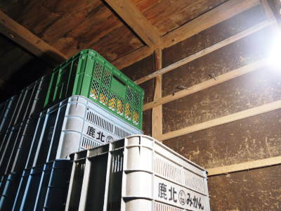 熊本県産！デコポン(肥後ポン)数量限定販売中！今期の出荷予定数も残りわずか！ご注文はお急ぎ下さい！_a0254656_18073468.jpg