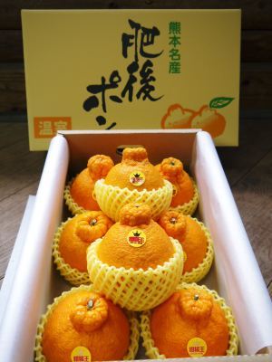 熊本県産！デコポン(肥後ポン)数量限定販売中！今期の出荷予定数も残りわずか！ご注文はお急ぎ下さい！_a0254656_18133952.jpg