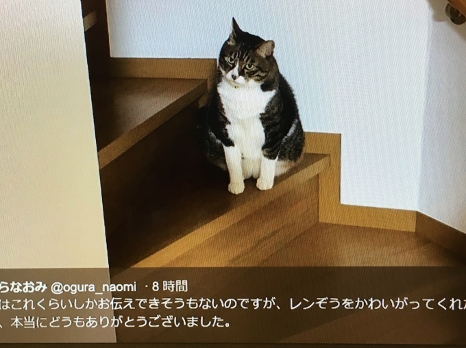 e0082956_06021605.jpeg
