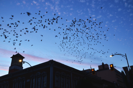 カナダ、VICTORIA （ヴィクトリア）でPUB巡りをしたい！：ルビープリンセスアラスカクルーズ_f0054556_23561420.jpg