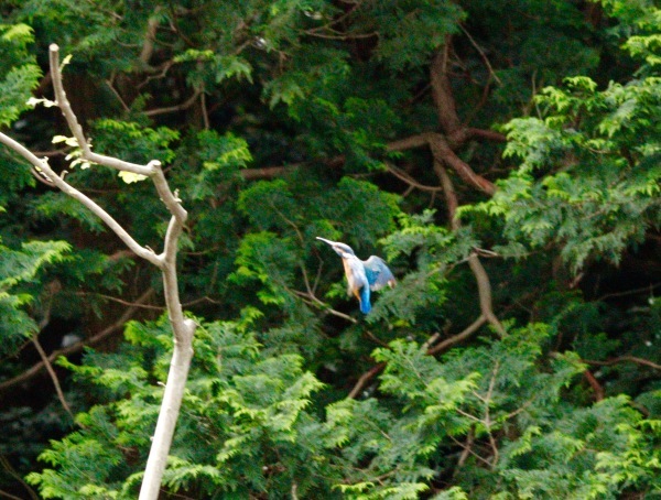 a0248459_14234520.jpg