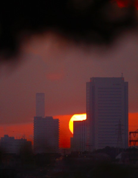 a0248459_14345797.jpg