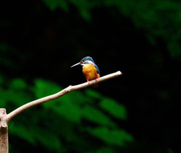 a0248459_14414225.jpg