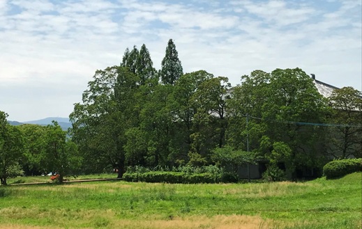 b0214473_18521041.jpg
