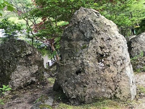 パソコンを捨てて、遠野にいこ~!その2_a0053480_12464164.jpg