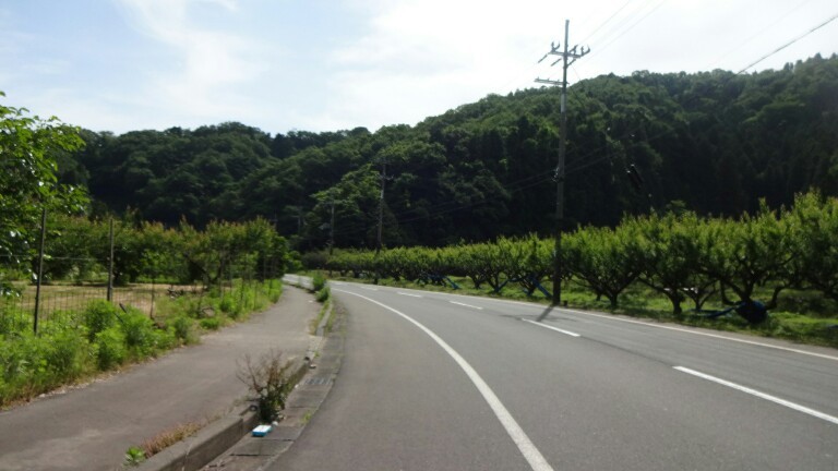 34日目【小浜−福井市】敦賀から越前へは厳しかった_e0201281_22011633.jpg