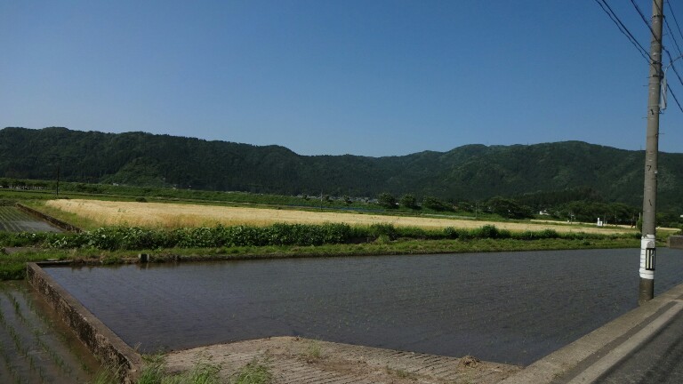 34日目【小浜−福井市】敦賀から越前へは厳しかった_e0201281_22050571.jpg