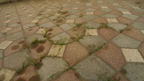 c0212083_19090204.jpg