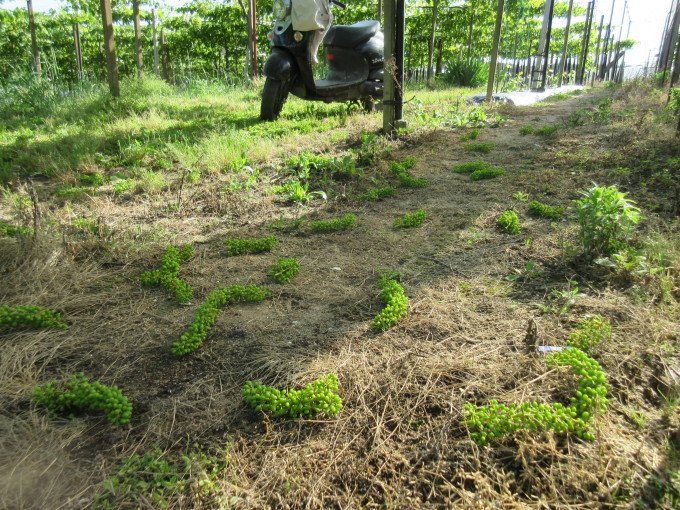 d0230486_20583715.jpg