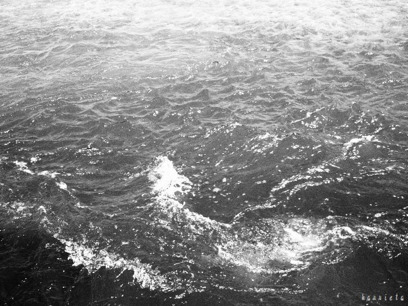 c0152690_22130309.jpg