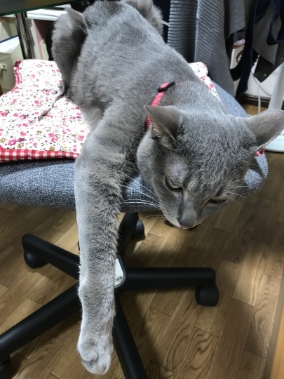 d0207491_23241064.jpeg