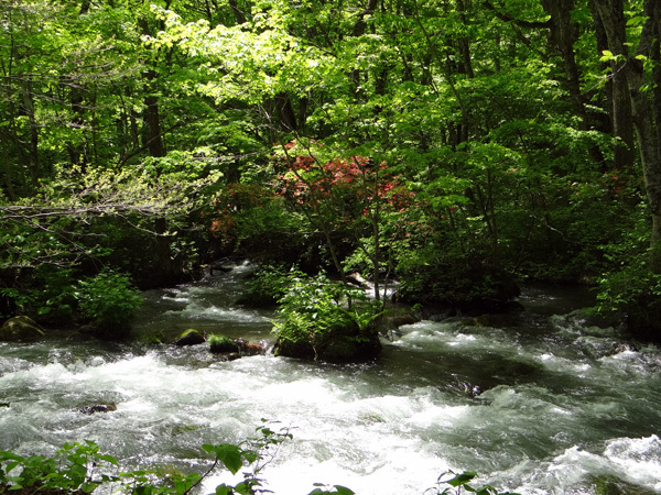 a0136293_16163826.jpg