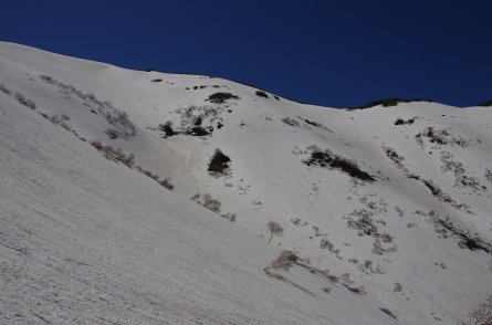 まだ滑られる狩場山_d0198793_10371125.jpg