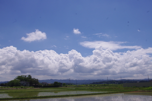 c0337494_17074268.jpg
