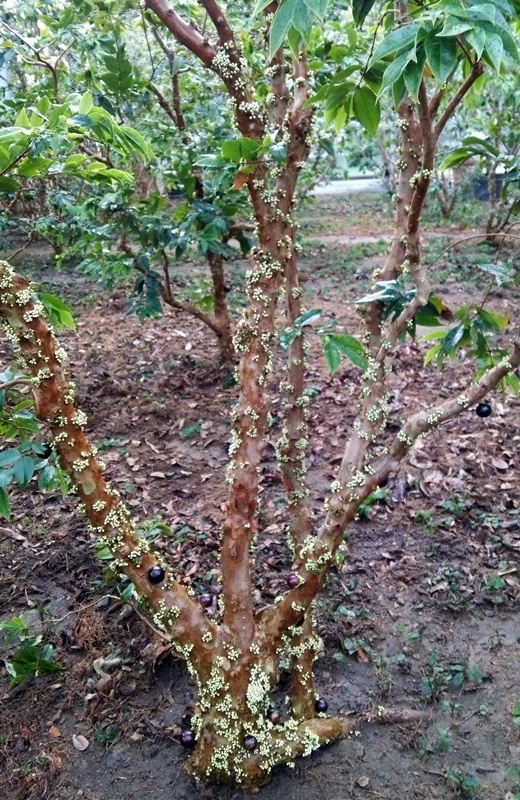 b0028299_22171792.jpg