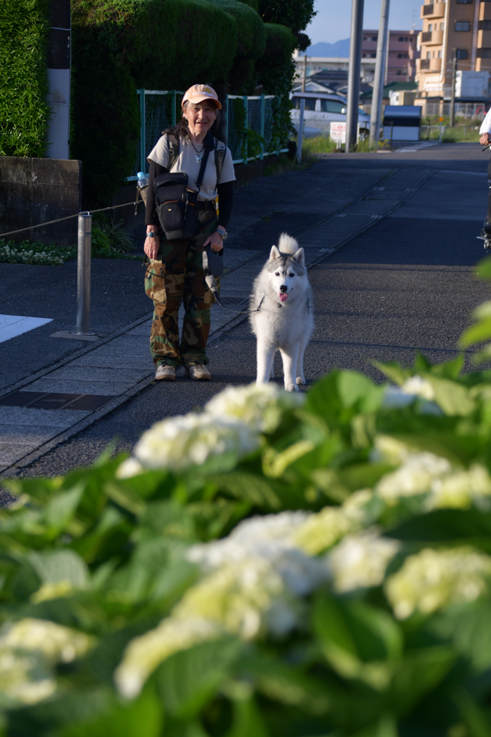 お散歩（後半）です、そして、なんと45年前（≧∇≦） - 犬連れへんろ*二人と一匹のはなし*