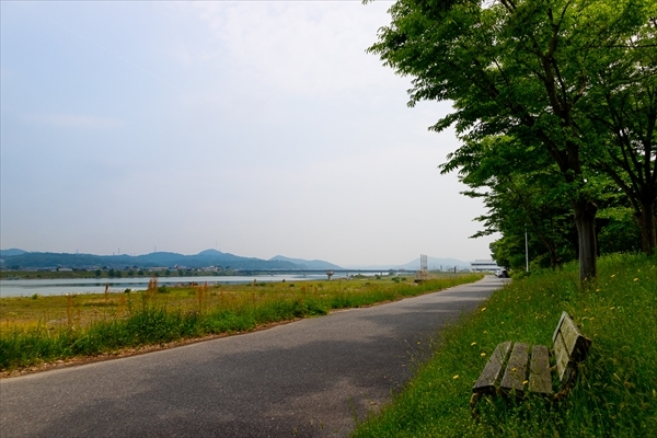 d0001300_23255217.jpg
