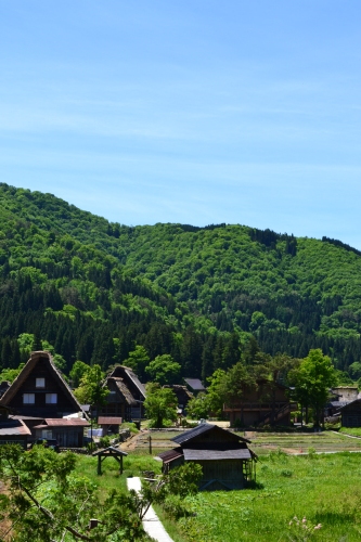 f0188600_17501076.jpg