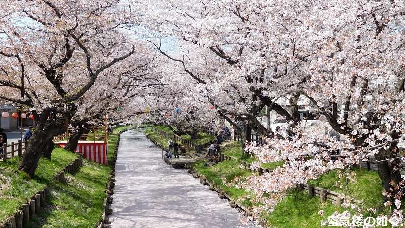 「月がきれい」舞台探訪016　桜の季節に新河岸川氷川橋から起点の碑までを巡って(H300325)_e0304702_17254917.jpg