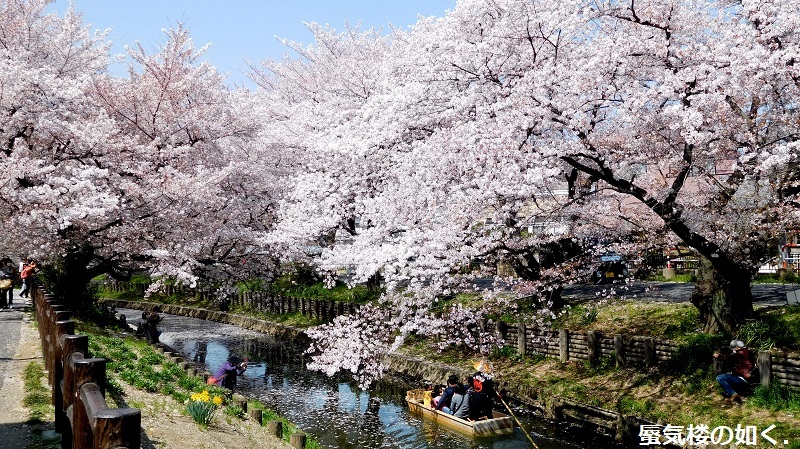 「月がきれい」舞台探訪016 桜の季節に新河岸川氷川橋から起点の碑までを巡って(H300325)_e0304702_17274480.jpg