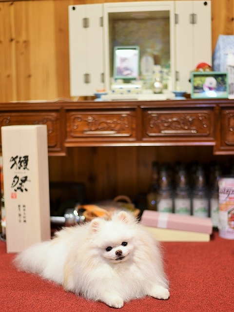 姿が見えないだけで_d0360206_00443810.jpg