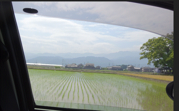 f0231709_16374852.gif