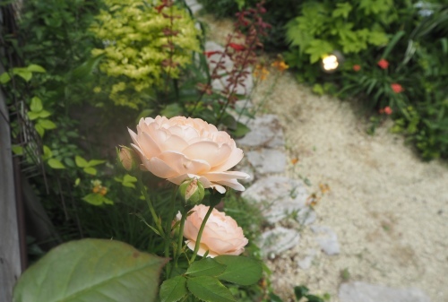 d0179410_22042029.jpeg