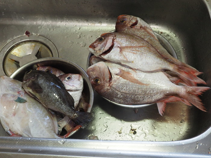 夫の釣果とその後_c0116915_23465432.jpg