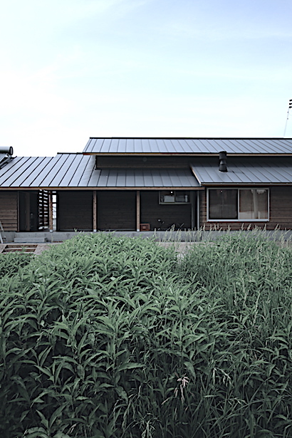 移住で人気の糸島で「自然農の家」のオープンハウスを開催します☆_e0029115_15453763.jpeg
