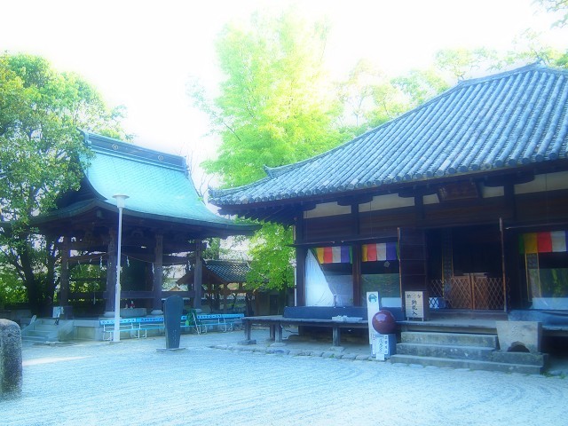 d0295818_23301780.jpg