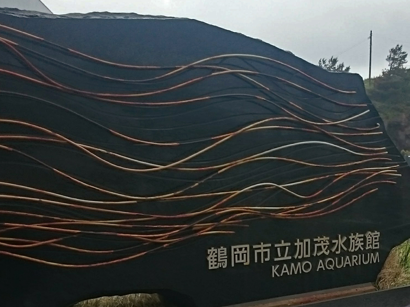 f0113518_13380462.jpg