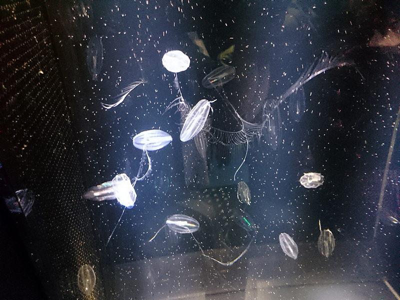f0113518_13381930.jpg