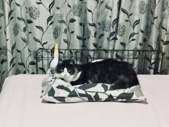 d0221319_20355687.jpeg