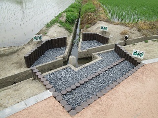 d0140422_21225251.jpg