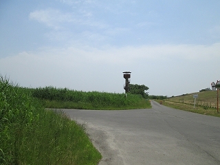 d0140422_21225253.jpg