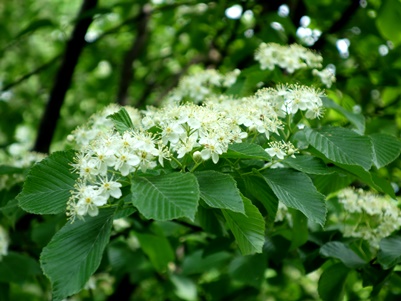 c0204725_003324.jpg