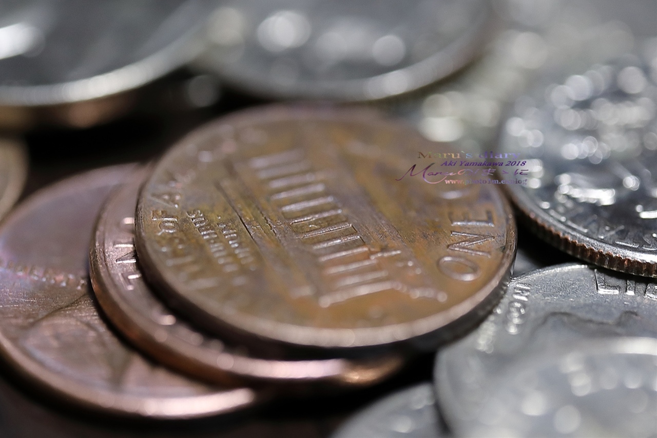まゝに/SIGMA ART70mmDGf2.8Macro_d0342426_22321314.jpg