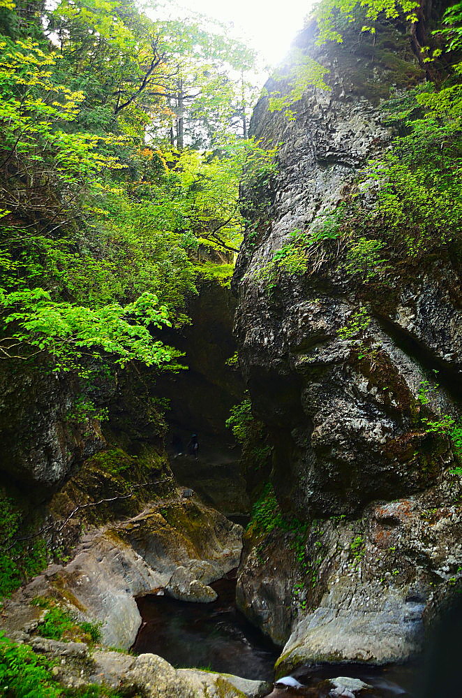 a0287533_23313274.jpg