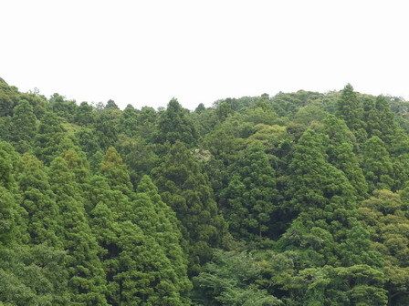 a0123836_17432404.jpg
