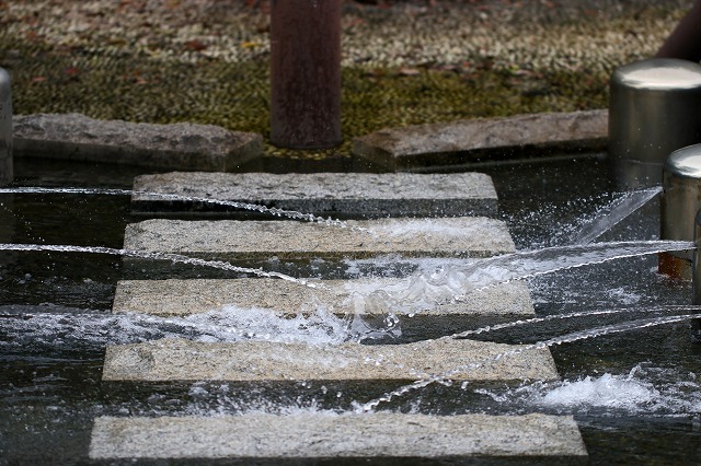 a0242438_19364228.jpg